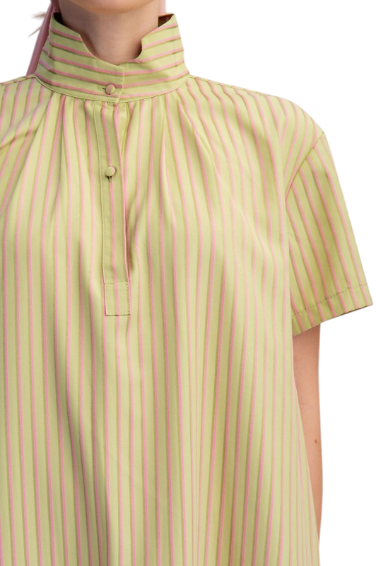 Sage & Pink Stripe Standing Collar Midi