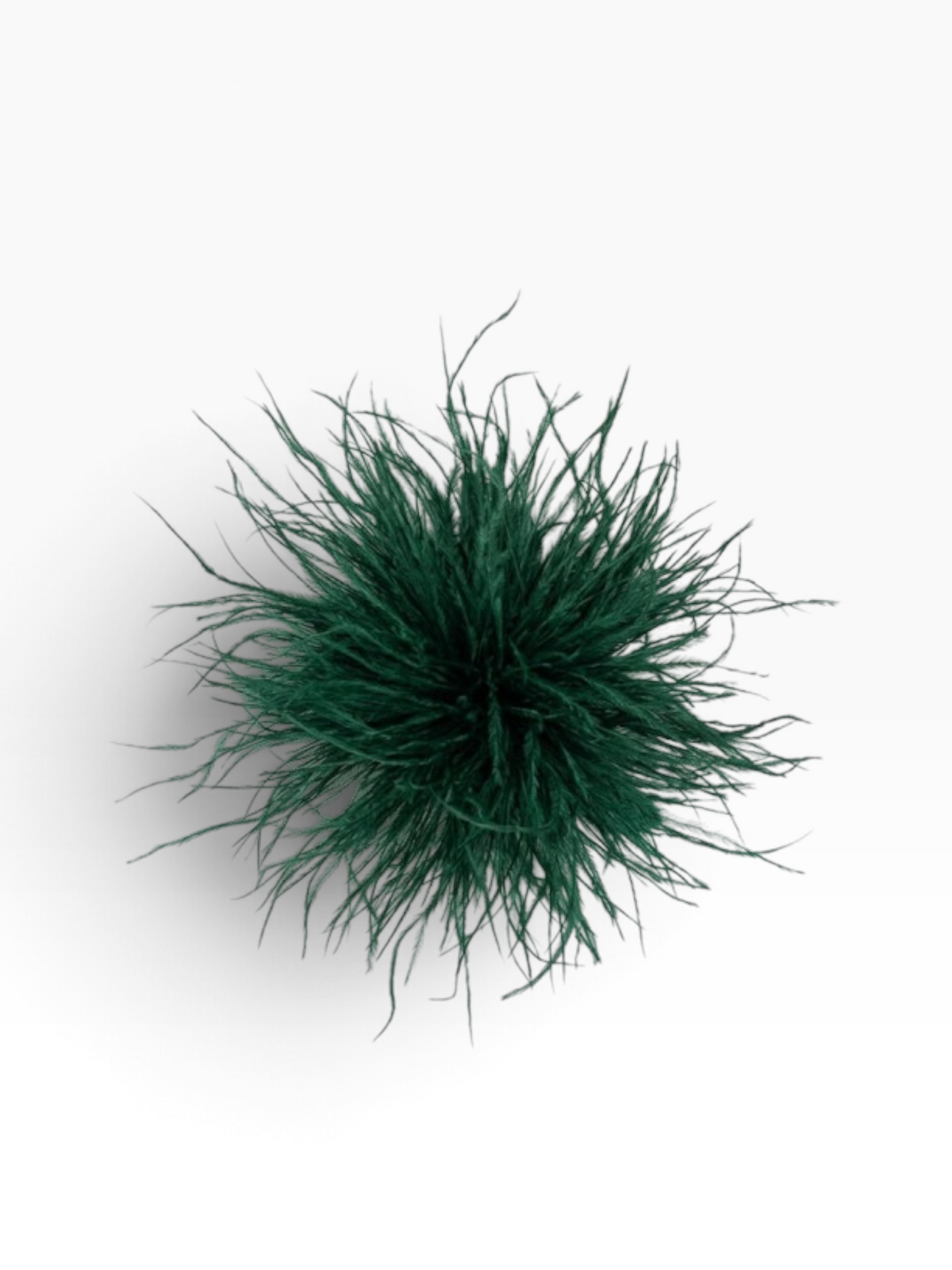 Feather Brooch- 5 Colors