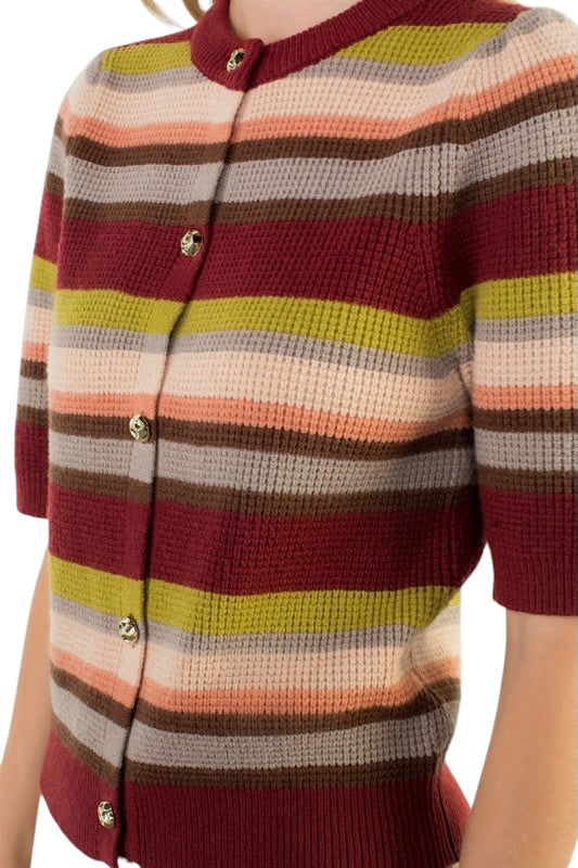 Wine & Citron Stripe Cardigan