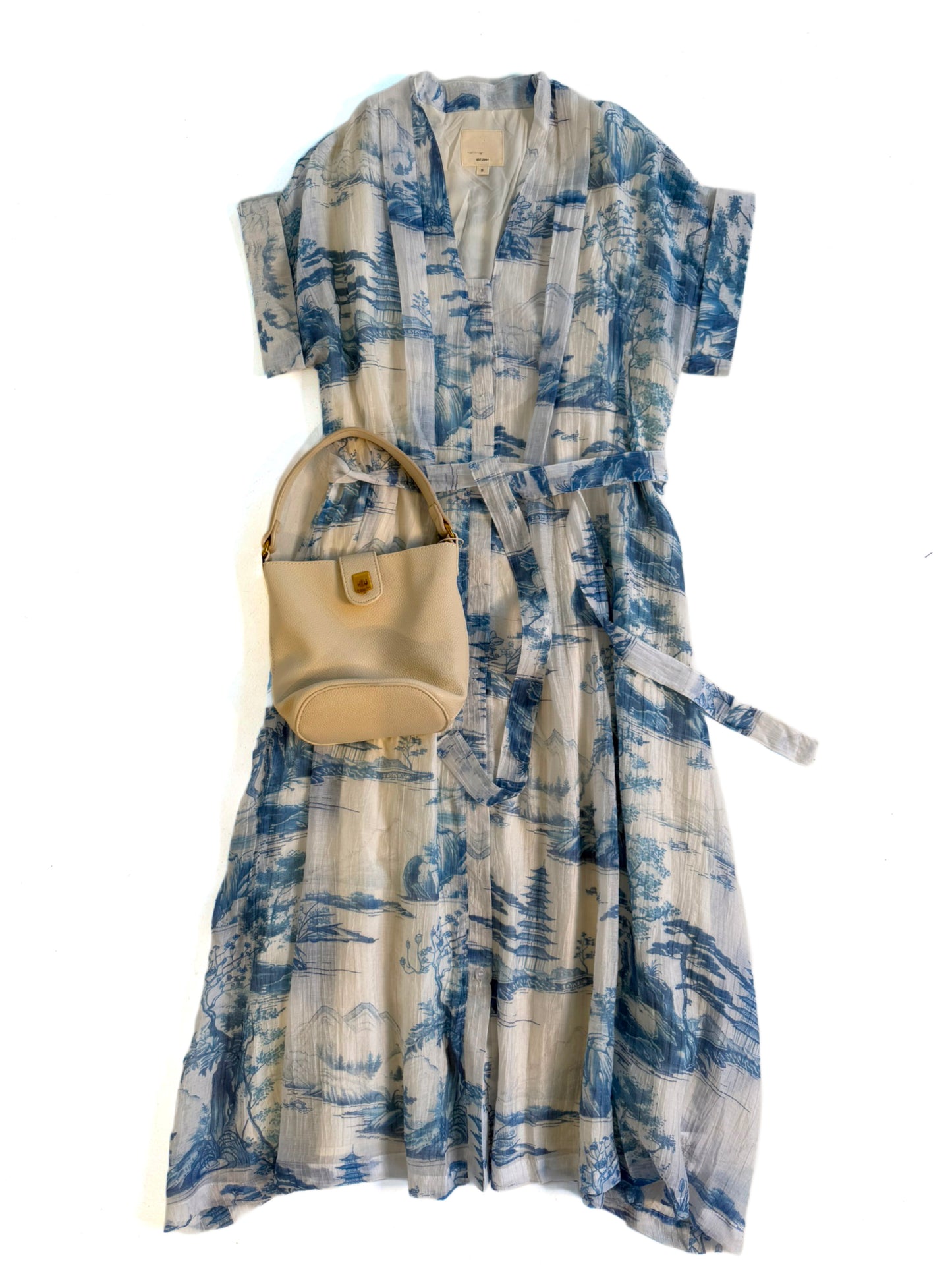 Blue Toile Shirt Dress