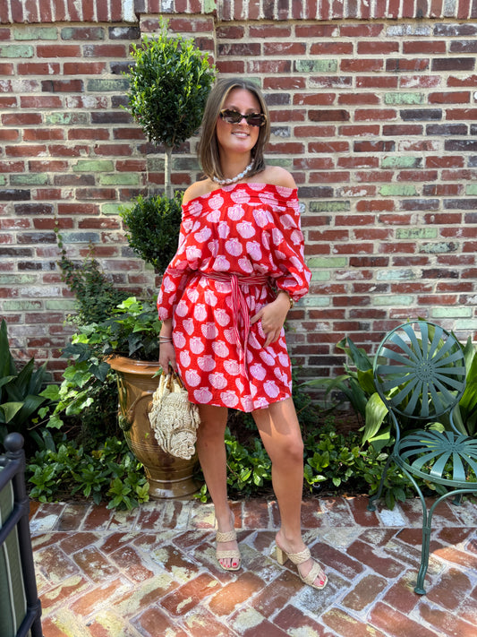 Eleanore Street Mini in Red & Pink Shells