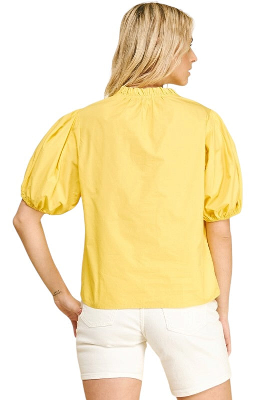Pleated Sleeve Top - 2 Colors
