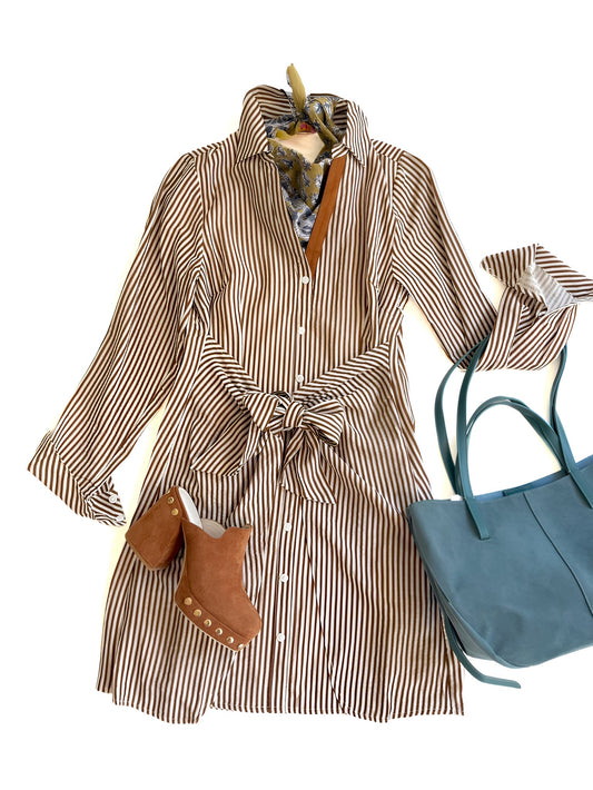 Faux Wrap Shirt Dress in Brown