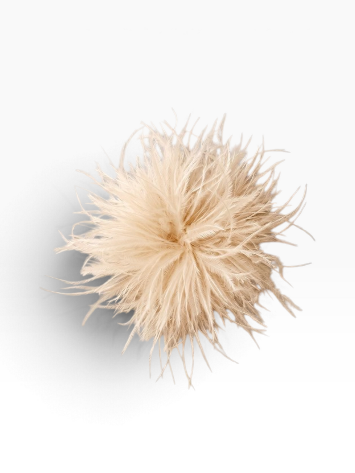 Feather Brooch- 5 Colors