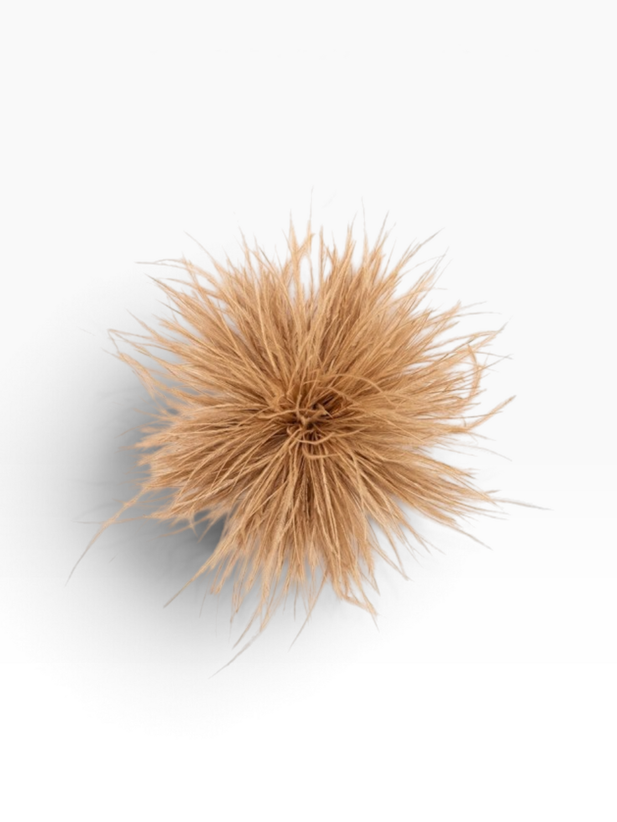 Feather Brooch- 5 Colors