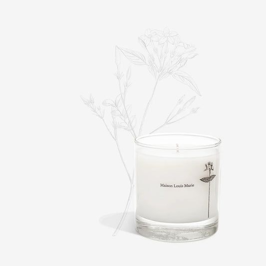 Maison Louis Marie Antidris Jasmine