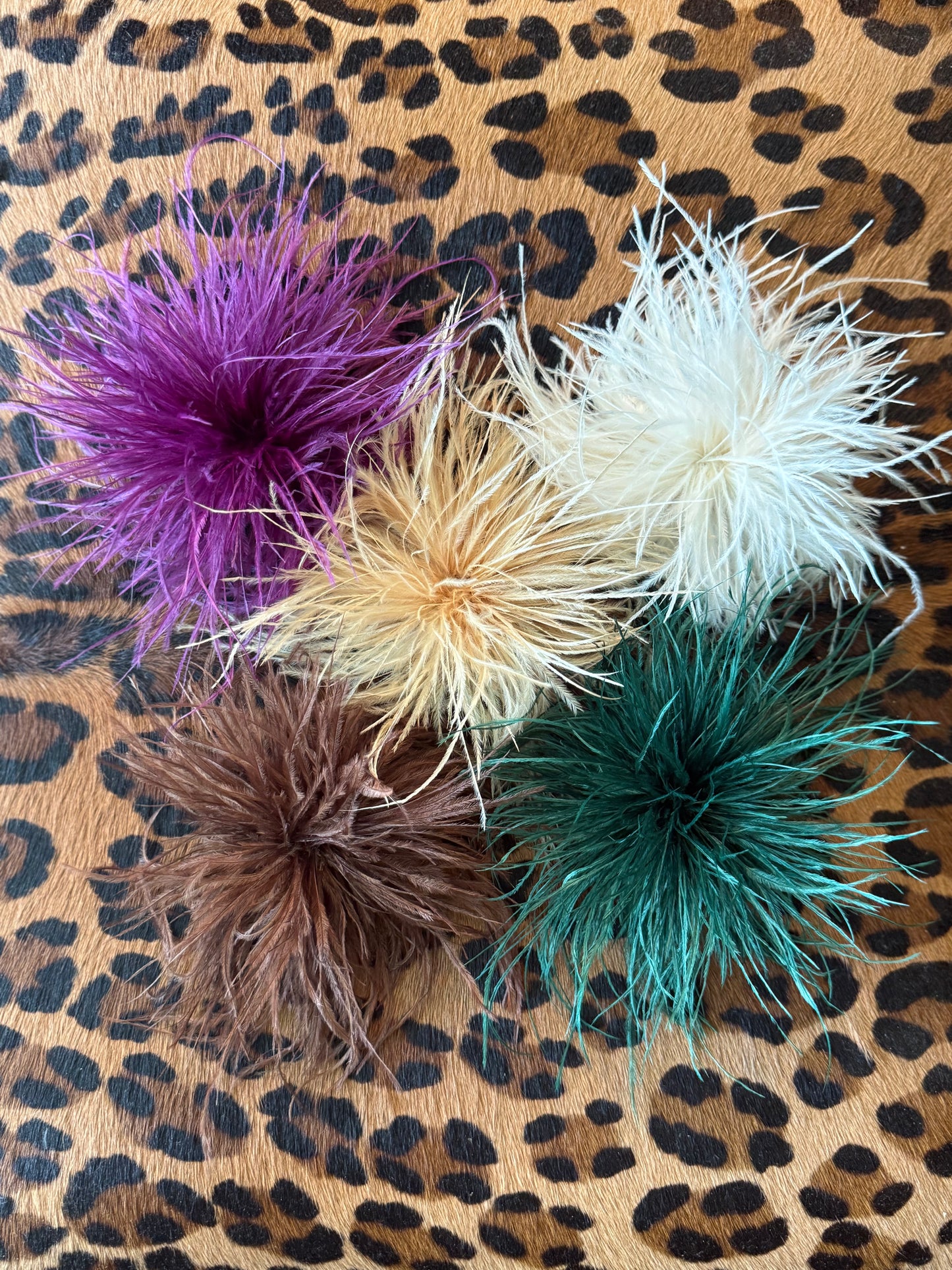 Feather Brooch- 5 Colors