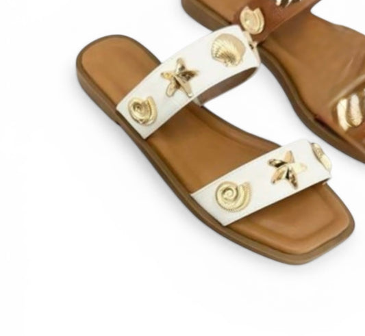 Golden Seashell Slides